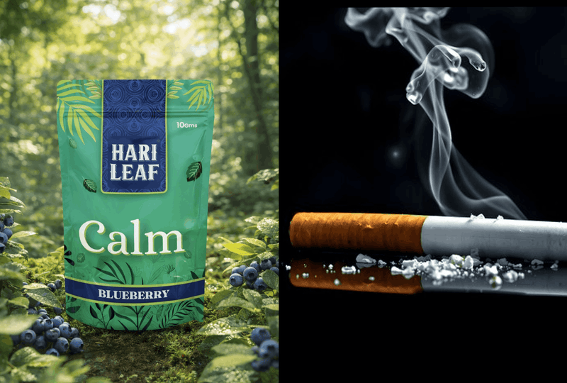 Herbal Cigarettes vs Regular Cigarettes India — Tobacco Free Comparison — Hari Leaf