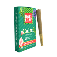 Calm Blend - Watermelon (Pre-filled Cones)